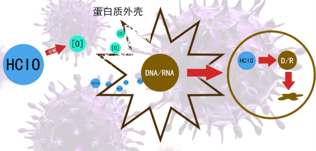 消毒杀菌_看图王.png