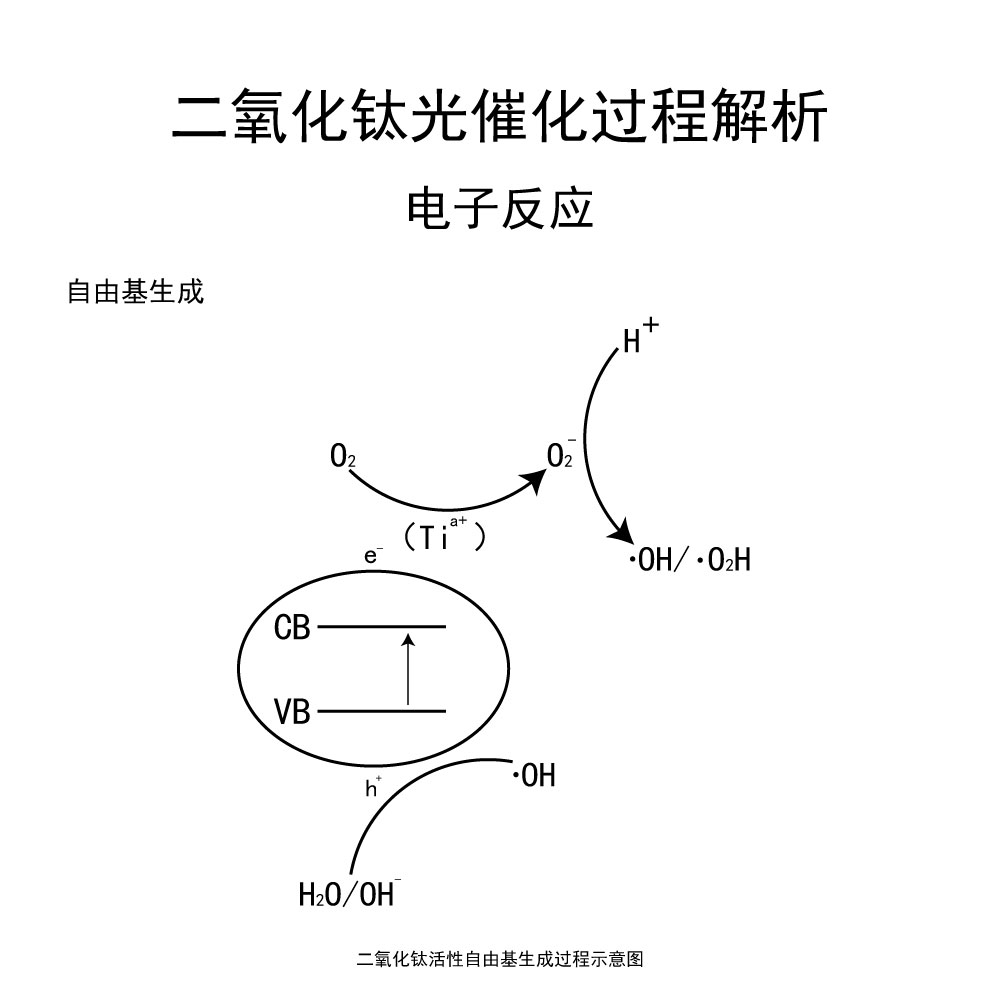 光催化-4.jpg